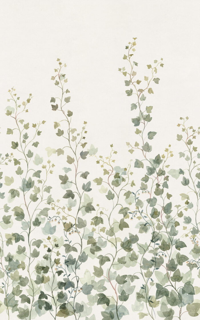 Ivy, Green - Sandberg