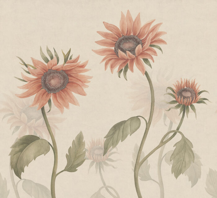 Sunflowers, Peach - Sandberg