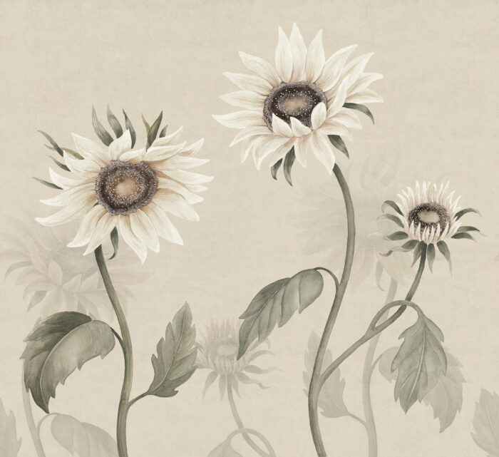 Sunflowers, White - Sandberg