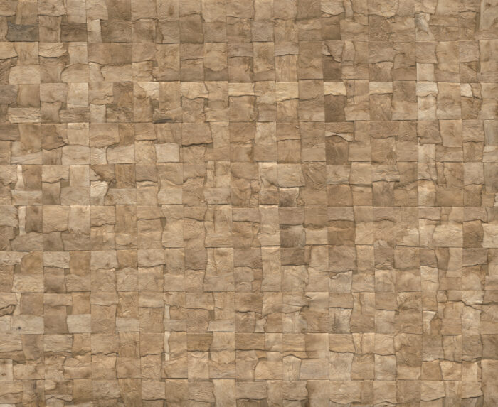 Alba Bark - Arte
