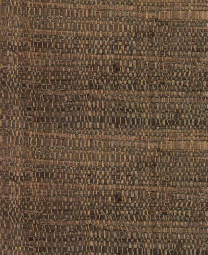 Tana Pecan - Arte