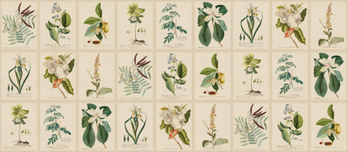 Flora, Green - Sandberg