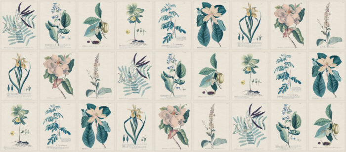 Flora, Blue - Sandberg