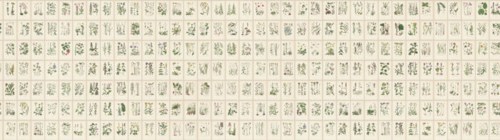 Botanica, Oat - Sandberg