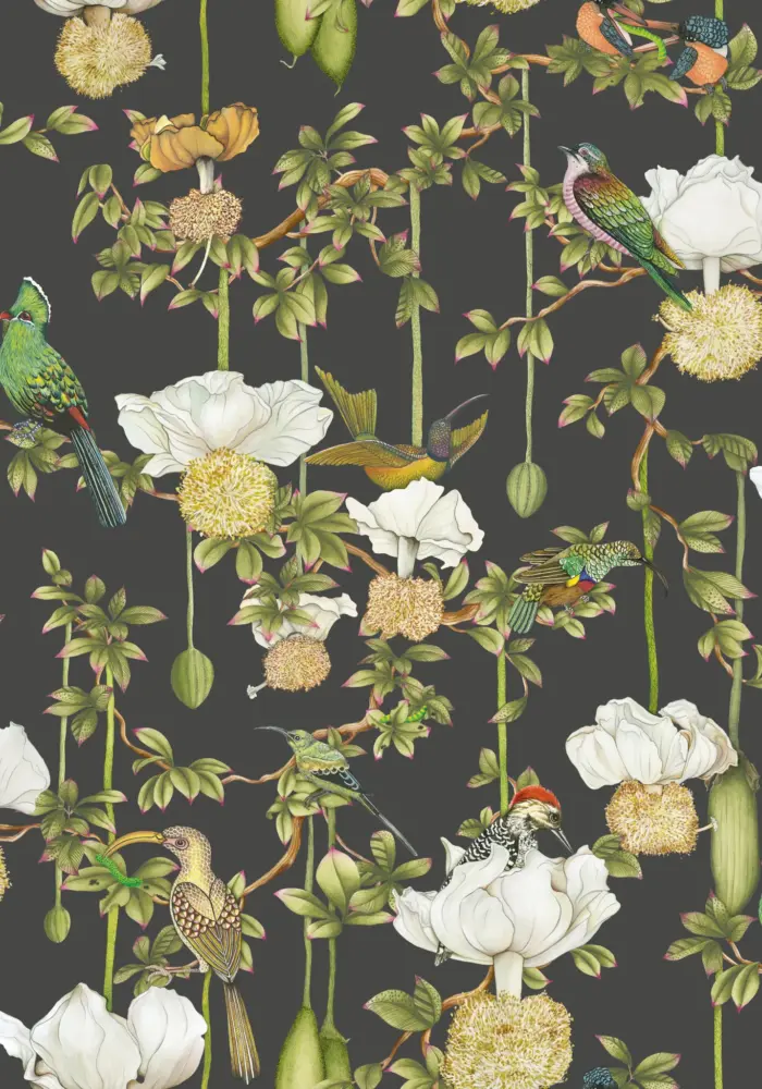 Baobab Botanica, Onyx - Cole & Son